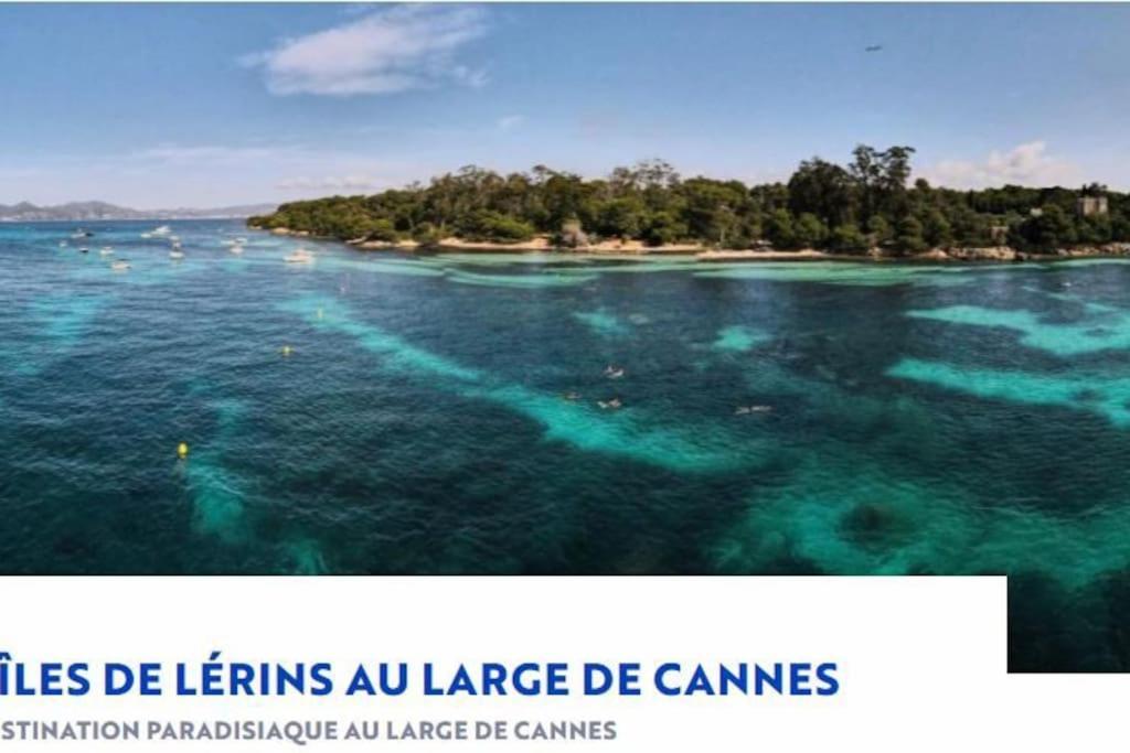 Residence De Luxe Sun Paradis, Studio Terrasse, Vue Mer Piscine คานส์ ภายนอก รูปภาพ